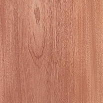 Sapele Plywood